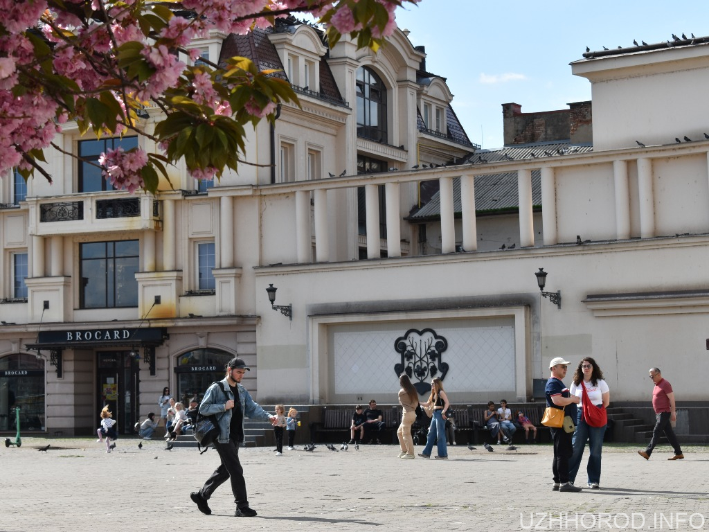 В Ужгороді облаштують благодійну фотозону до Івана Купала В Ужгороді облаштують благодійну фотозону до Івана Купала