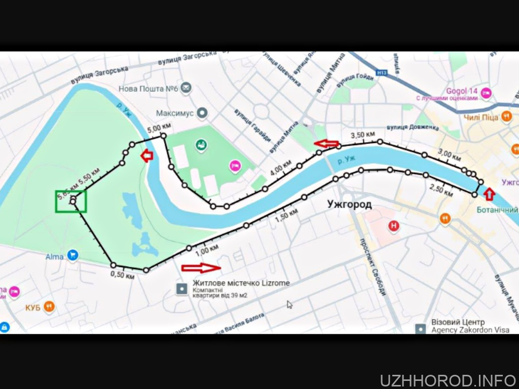 В Ужгороді проведуть спортивний забіг у межах проєкту «Активні парки»