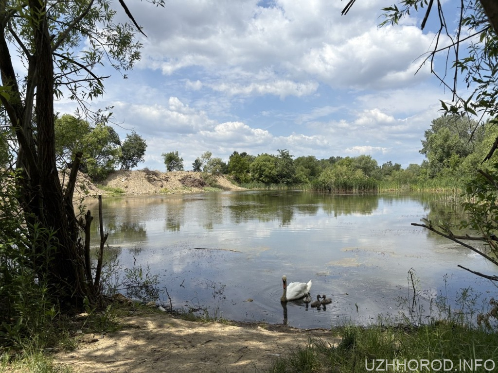 Департамент інфраструктури отримав паспорт Чорного озера в Ужгороді Департамент інфраструктури отримав паспорт Чорного озера в Ужгороді