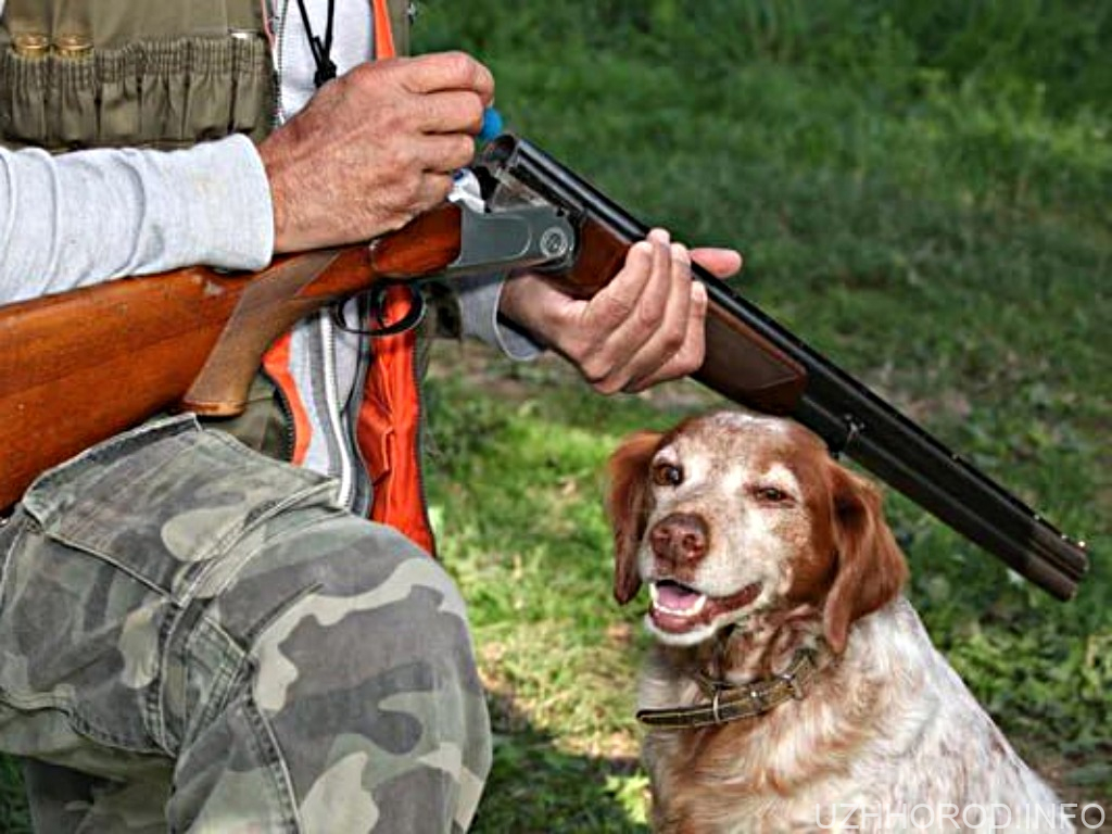 На Закарпатті дозволили полювання: мисливський сезон 2025–2026 стартує з 15 серпня На Закарпатті дозволили полювання: мисливський сезон 2025–2026 стартує з 15 серпня