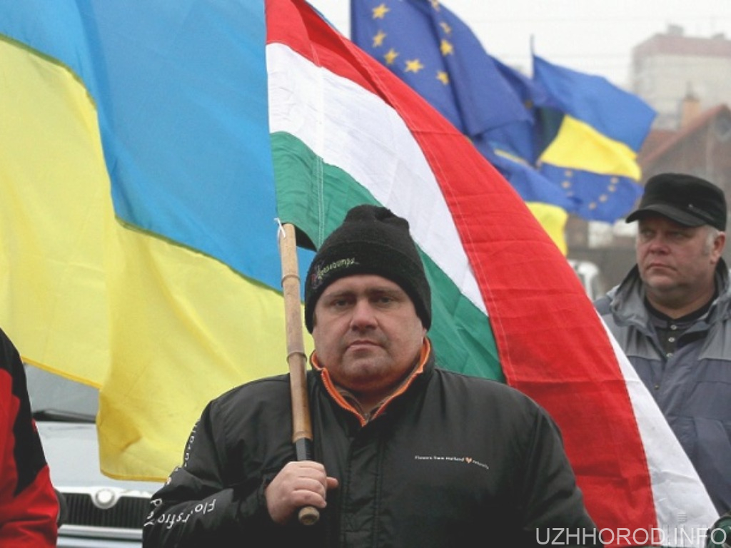 Кількість угорців на Закарпатті продовжує стрімко зменшуватися фото