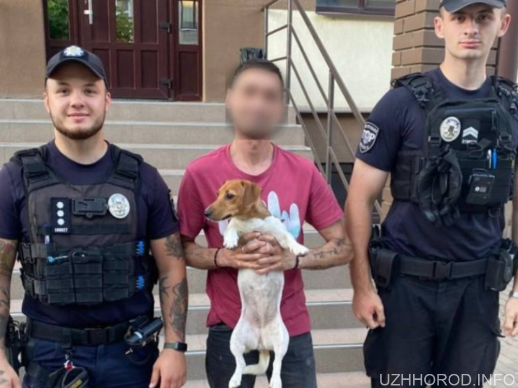 В Ужгороді патрульні повернули загубленого собаку власнику В Ужгороді патрульні повернули загубленого собаку власнику