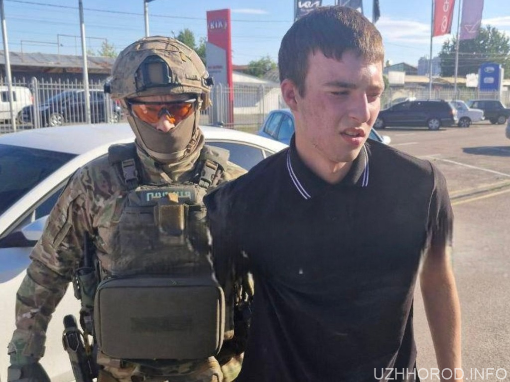 Десять мільйонів гривень за свободу: син закарпатського депутата на волі син закарпатського депутата на волі фото