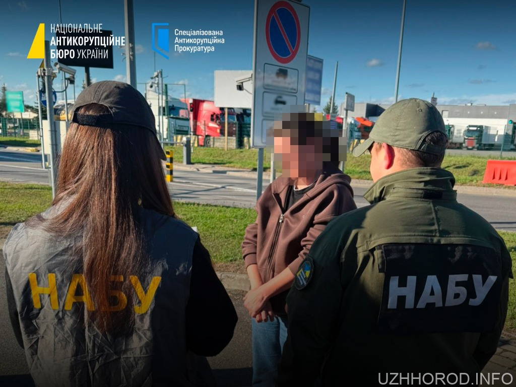 Закарпатська земельна афера: оцінювачка, екстрадована з Німеччини, постане перед судом Закарпатська земельна афера: оцінювачка, екстрадована з Німеччини, постане перед судом