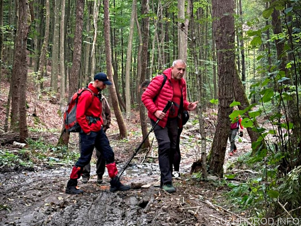 У лісі на Ужгородщині шукали 73-річного грибника У лісі на Ужгородщині шукали 73-річного грибника