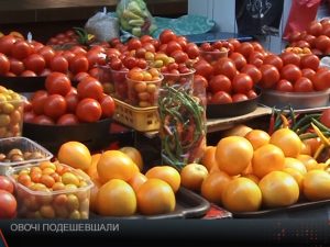 Закарпатські овочі відчутно подешевшали (ВІДЕО)