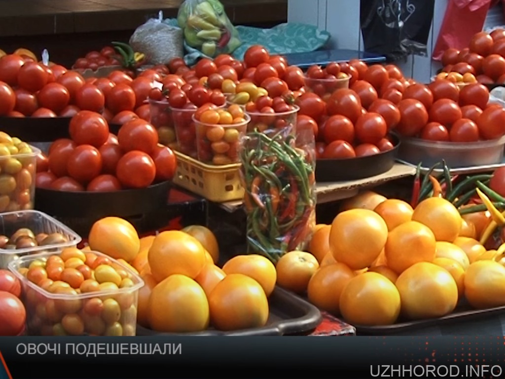 Закарпатські овочі відчутно подешевшали (ВІДЕО) Закарпатські овочі відчутно подешевшали (ВІДЕО)