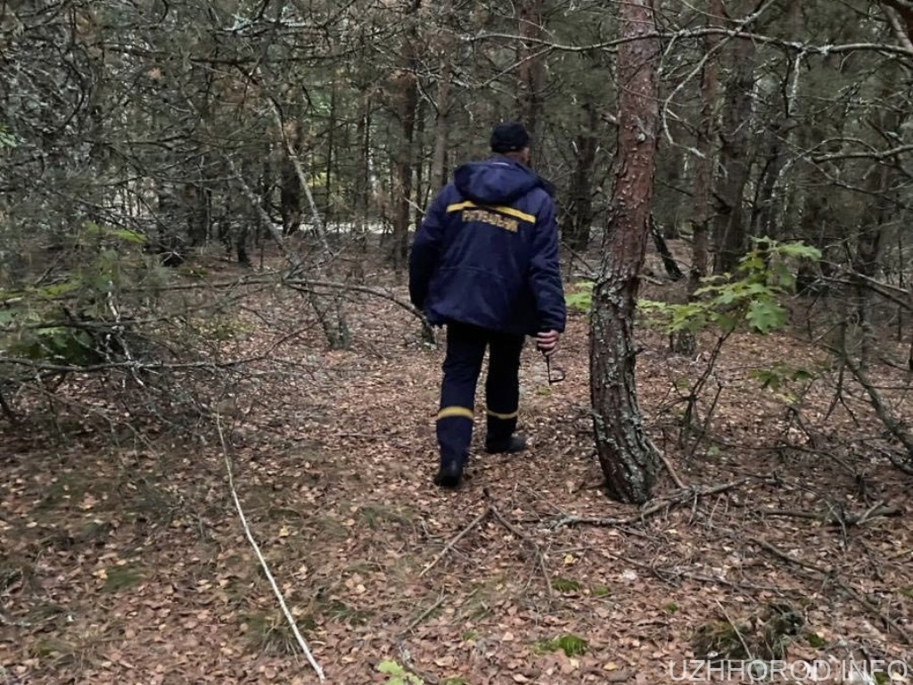 На Закарпатті шукають грибника, який зник у лісі ще вчора