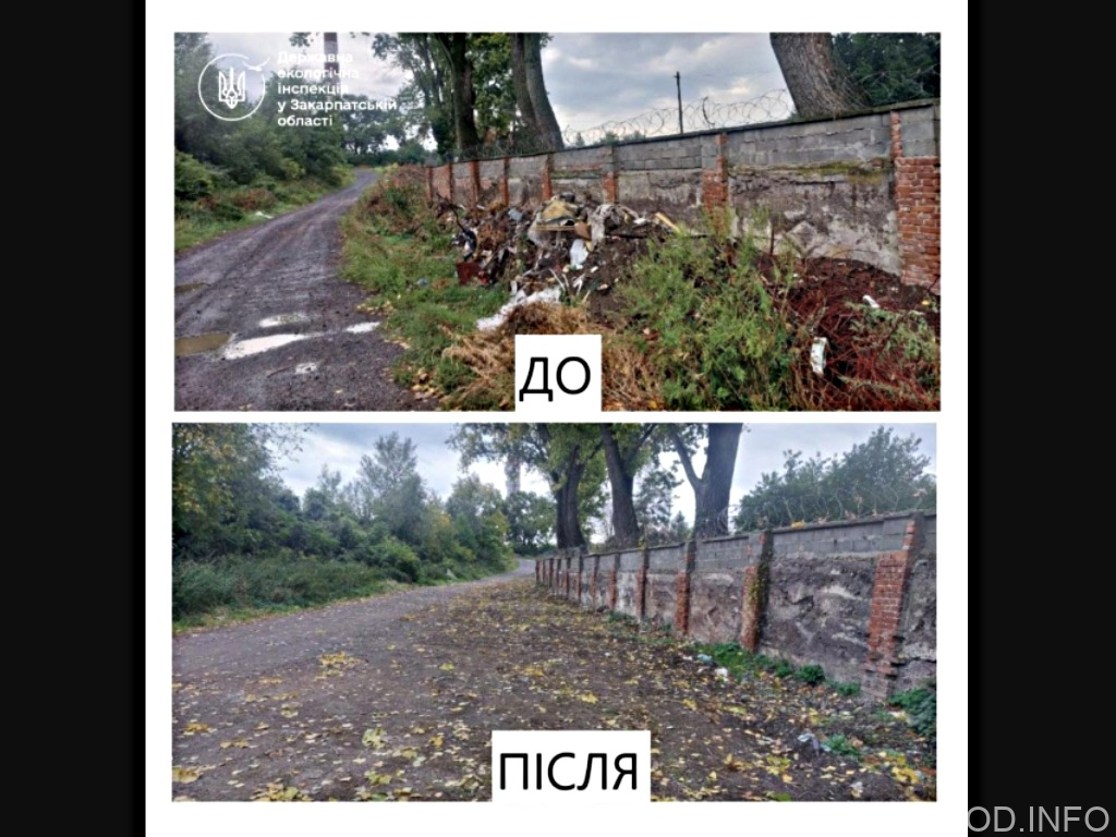 В Ужгороді ліквідували стихійне сміттєзвалище, виявлене екологічною інспекцією В Ужгороді ліквідували стихійне сміттєзвалище, виявлене екологічною інспекцією