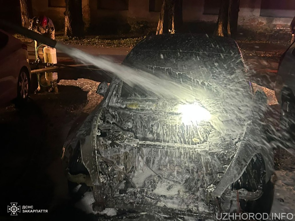 В Ужгороді загорівся електромобіль Tesla Model 3 фото
