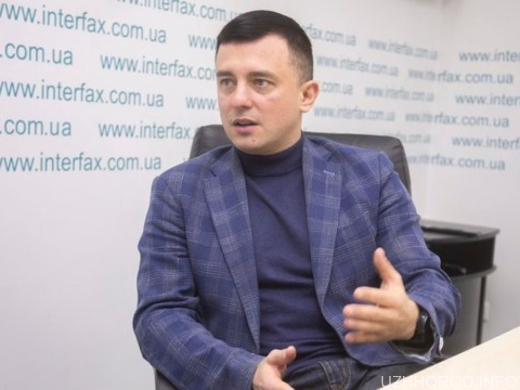 Закарпатська область прийняла близько 400 тис. переселенців – депутат облради Цебер