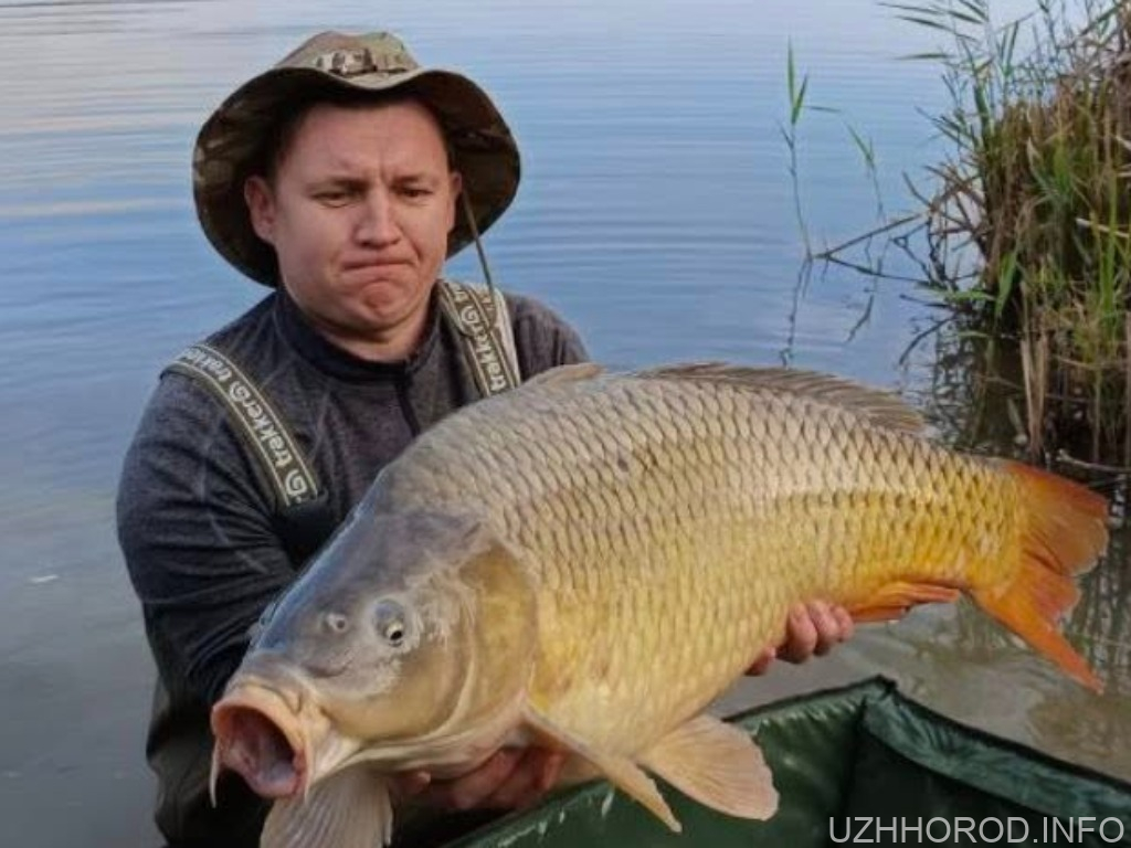 На Закарпатті чоловік зловив гігантського коропа: скільки він заважив (ВІДЕО)