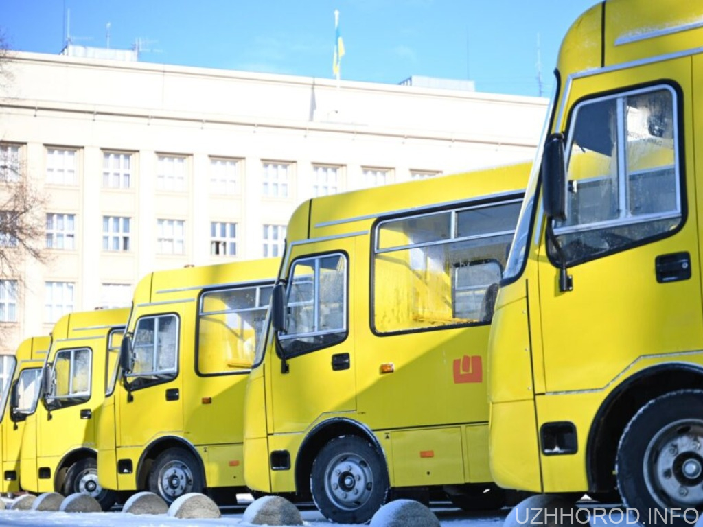 8 закарпатських громад отримали нові шкільні автобуси
