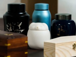 У Мукачеві відкрили перший у регіоні крематорій для тварин