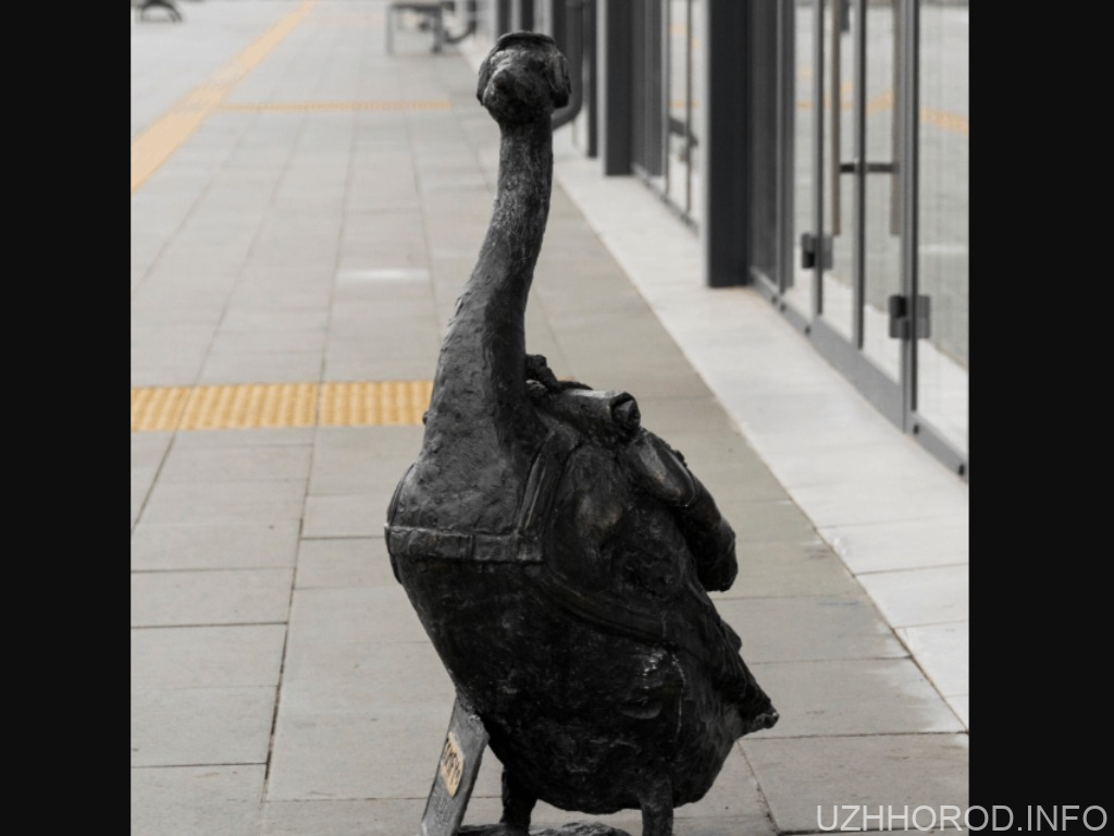 У Мукачеві встановили четвертого бронзового гусака фото