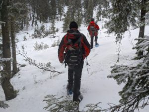 Закарпатські рятувальники розшукали туристів