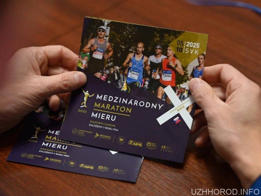 Закарпаття та Кошицький край Словаччини обговорюють спільний марафон