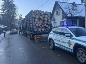 Майже удвічі важче за норму: на Закарпатті зупинили перевантажений лісовоз