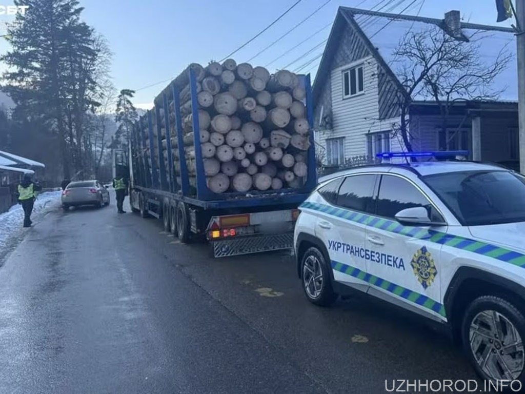 Майже удвічі важче за норму: на Закарпатті зупинили перевантажений лісовоз