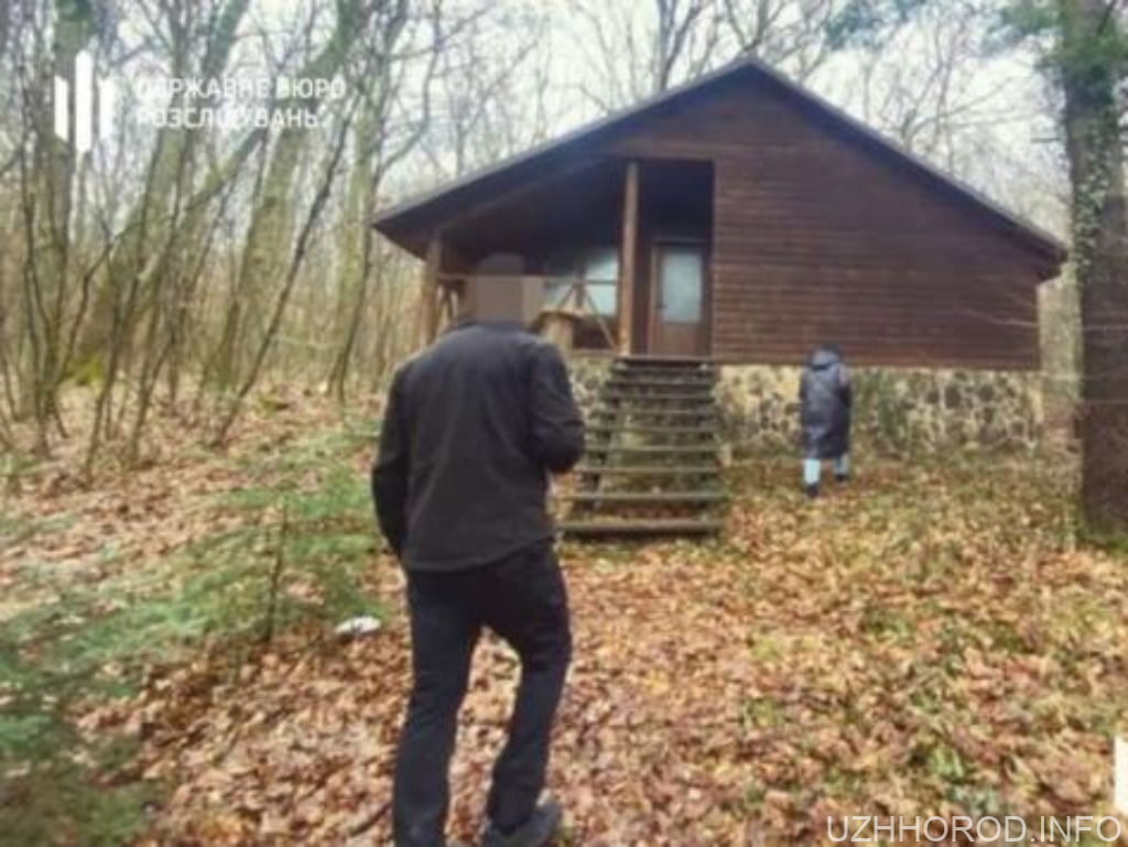 Шуфрич захопив ліс під Ужгородом фото