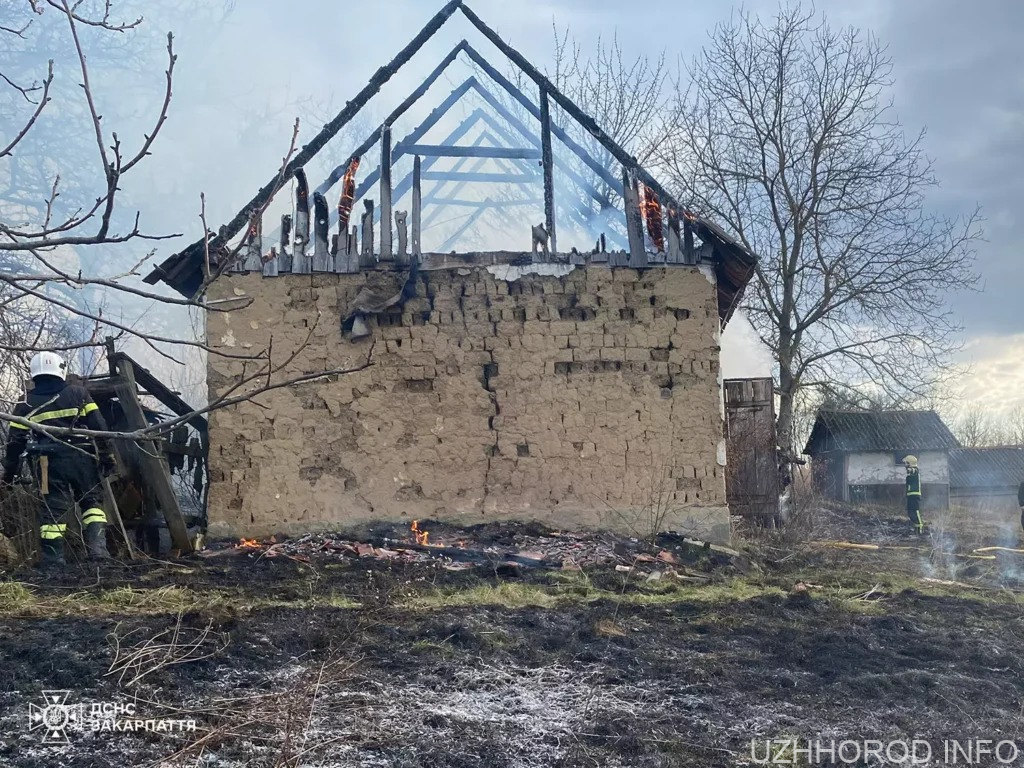Упродовж трьох днів – 60 пожеж в екосистемах Закарпаття