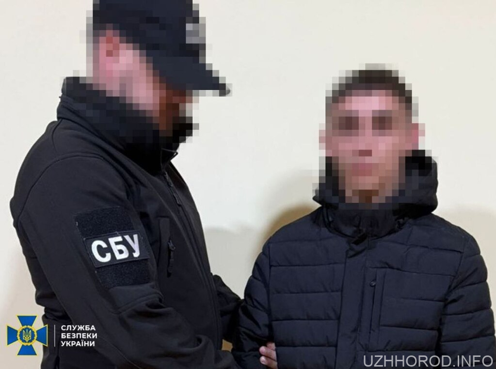 Намагався зареєструвати декілька терміналів Starlink фото