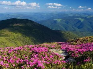 Куди поїхати на Закарпаття весною 2026: три локації без натовпів туристів