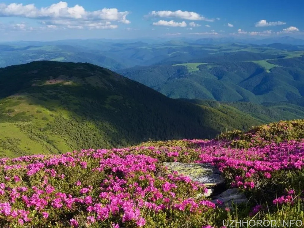 Куди поїхати на Закарпаття весною 2026: три локації без натовпів туристів