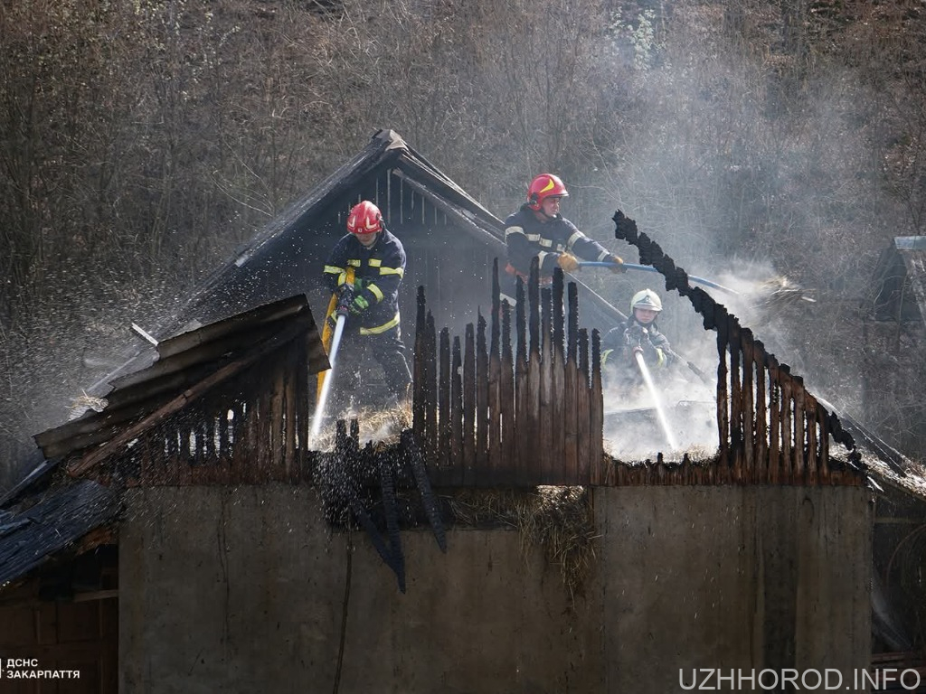 Полум’я на власному подвір’ї: на Ужгородщині спалювання сміття ледь не спопелило господарську будівлю