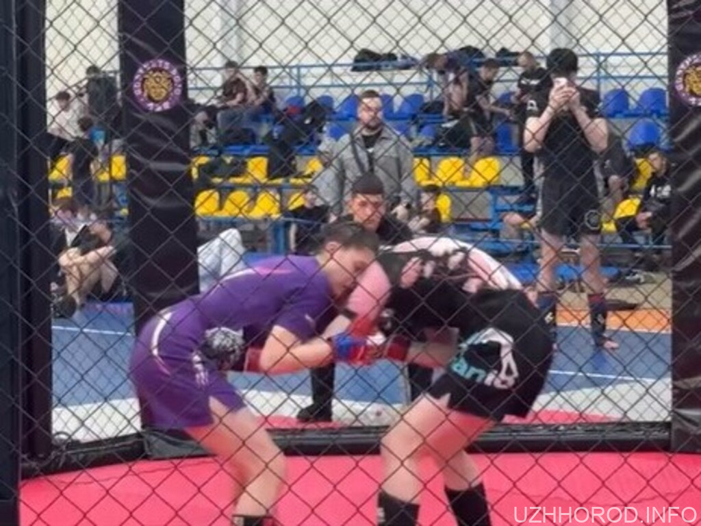 на відкритому чемпіонаті Закарпаття зі змішаних єдиноборств ММА фото