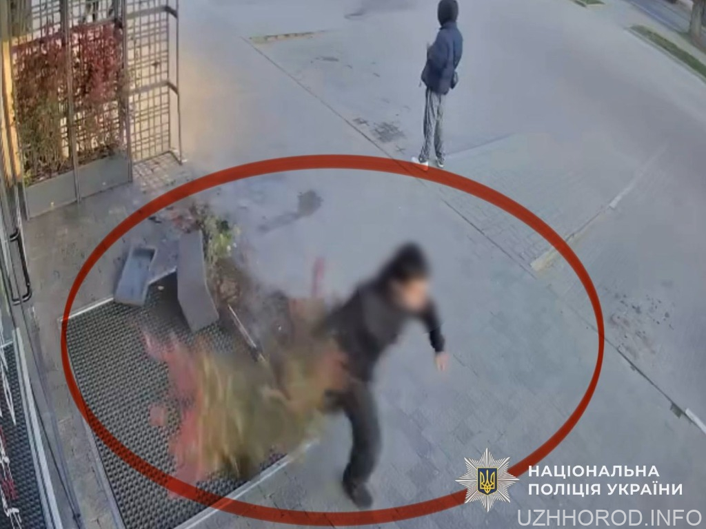 Поліція встановила порушника фото