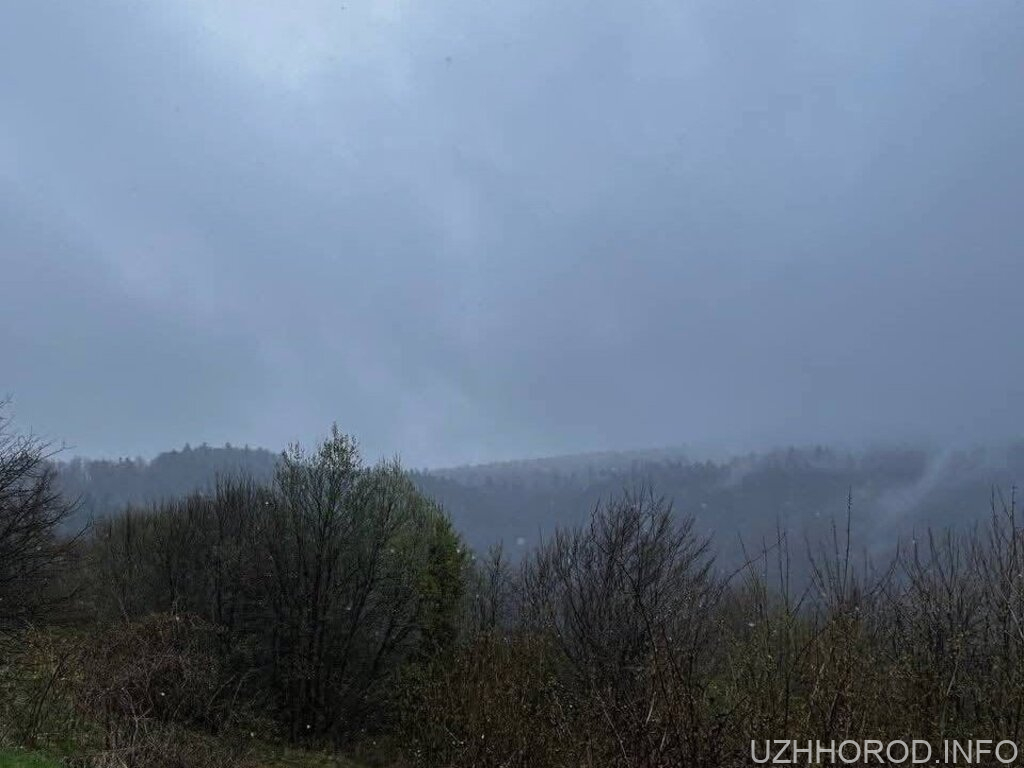 Ужоцький перевал засипало снігом