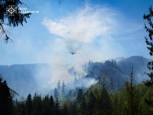 Масштабну лісову пожежу біля Воловця загасили