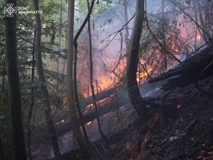 Пожежа на Мукачівщині: у небо піднімають авіацію, стягнуто сили трьох областей