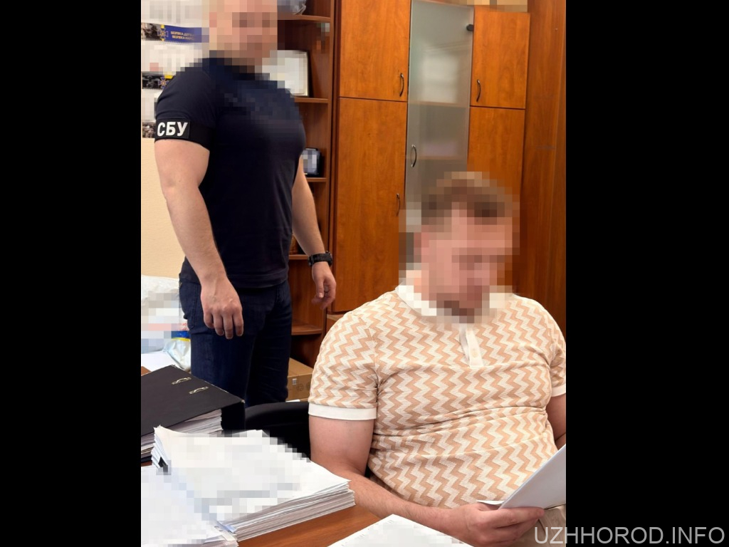 СБУ викрила розкрадання понад 100 млн грн під час будівництва захисту для електропідстанції на Закарпатті