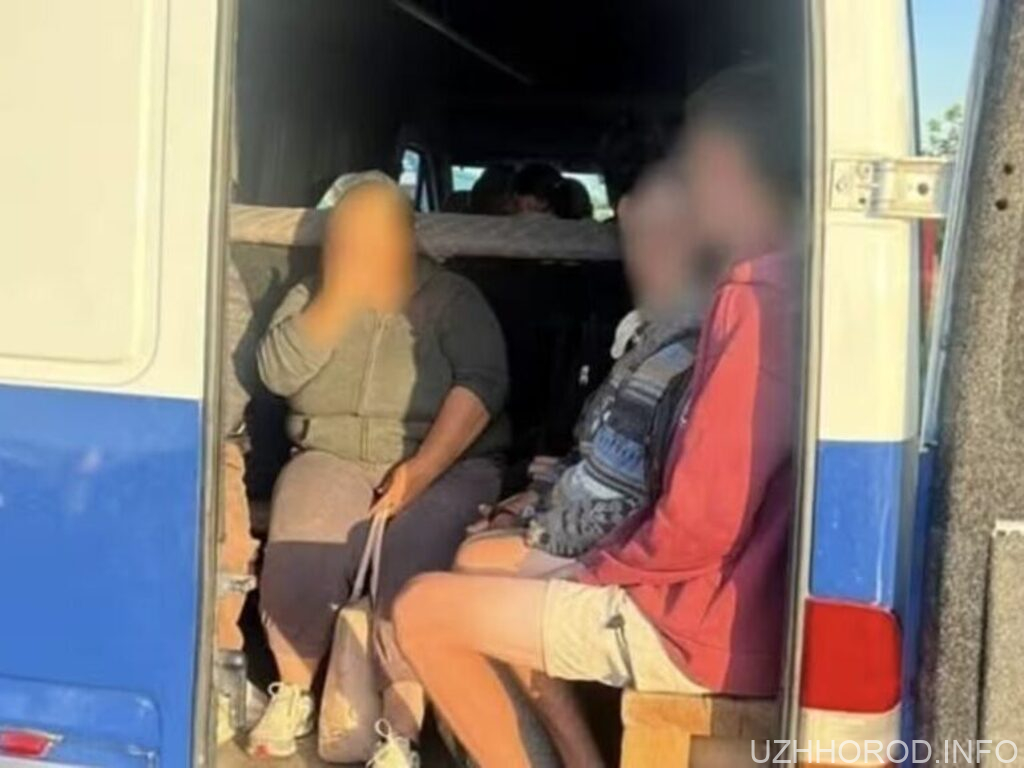 У Хусті викрили трьох нелегальних перевізників: їм загрожують штрафи до 34 тис. гривень